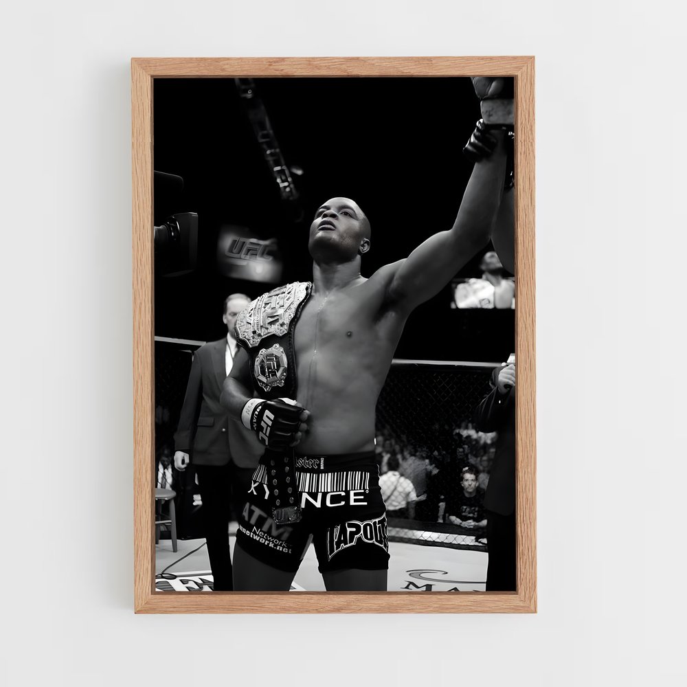 Poster Anderson de silva – affiche Taekwondo (vue 4)